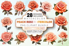 Watercolor Peach Rose Clipart Bundle Product Image 1