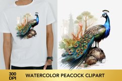 Watercolor peacock Clipart, peacock Sublimation Product Image 1