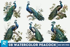 boho peacock,floral peacock,peacock bouquets,peacock clip art,feather png,peacock feathers,peacock head,peacock png,watercolor clipart,watercolor feather,Bird Clipart,printable art,Peacock wall art,aquarelle clipart