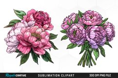 Watercolor Peony Bouquet Clipart Product Image 1