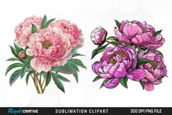 Watercolor Peony Bouquet PNG Set Clipart Product Image 1
