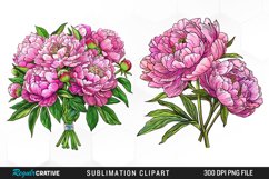 Watercolor Peony Bouquet PNG Set Clipart Product Image 1