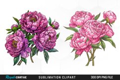 Watercolor Peony Bouquet PNG Set Clipart Product Image 1