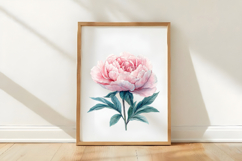 Watercolor Peony Flower Clipart Product Image 3