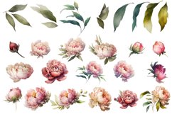 Watercolor Peony flower Clipart Product Image 2
