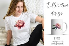 Watercolor Peony flower Clipart Product Image 5