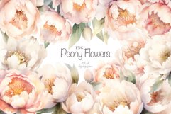 Peony Flowers clipart Product Image 1