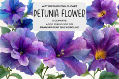 Watercolor Petunia Flower Clipart Product Image 1