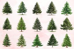 Watercolor Pine Tree Clipart Bundle Product Image 3