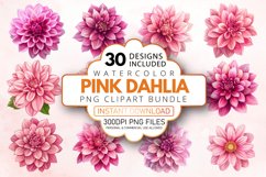 Watercolor Pink Dahlia Clipart Bundle Product Image 1