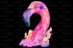 Watercolor Pink Flamingo Sublimation Design PNG Product Image 6