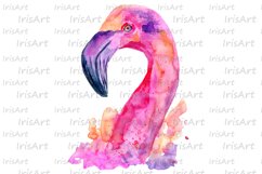 Watercolor Pink Flamingo Sublimation Design PNG Product Image 7