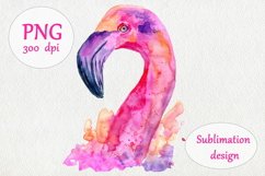 Watercolor Pink Flamingo Sublimation Design PNG Product Image 1