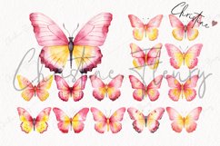 Watercolor Pink Lemonade Butterfly Clipart Product Image 4