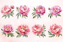 Watercolor Pink Peonies Clipart Bundle Product Image 2