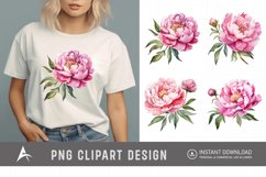 Watercolor Pink Peonies Clipart Product Image 1