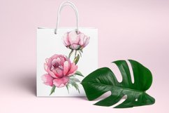 Watercolor Pink Peonies Flowers Clipart Product Image 6