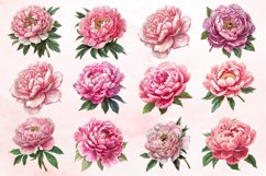 Watercolor Pink Peony Clipart Bundle Product Image 2