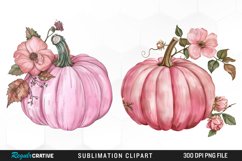 Watercolor Pink Pumpkin PNG Set Clipart Product Image 1