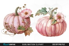 Watercolor Pink Pumpkin Exquisite Clipart Product Image 1