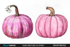 Watercolor Pink Pumpkin PNG Set Clipart Product Image 1