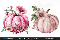 Watercolor Pink Pumpkin Exquisite Clipart Product Image 1