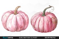 Watercolor Pink Pumpkin Exquisite Clipart Product Image 1