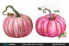 Watercolor Pink Pumpkin PNG Set Clipart Product Image 1