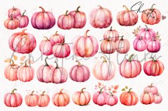 Watercolor Pink Pumpkins Clipart Product Image 4