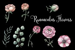 Ranunculus floral watercolor clipart Product Image 3