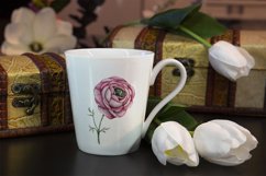 Ranunculus floral watercolor clipart Product Image 7