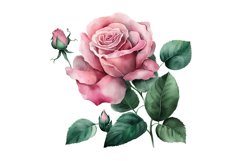 pink peony wreath,pink peony png,watercolor peony,peony scrapbook png,watercolor peony png,pink peonies,blush peony,peony bouquets