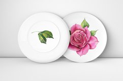 Watercolor Pink roses Flower Clipart Product Image 2