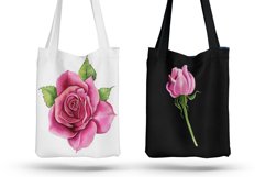 Watercolor garden flowers, hydrangea, roses, tulips Product Image 7