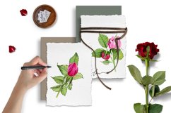 MEGA BUNDLE, Sublimation PNG, Watercolor roses Flowers Product Image 18