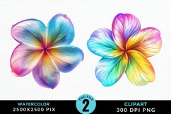 Watercolor Plumeria Flower Exquisite Clipart Product Image 1