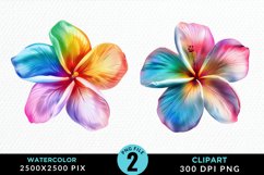 Watercolor Plumeria Flower Artwork Clipart Product Image 1
