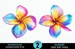 Watercolor Plumeria Flower Exquisite Clipart Product Image 1