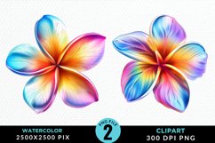 Watercolor Plumeria Flower Exquisite Clipart Product Image 1
