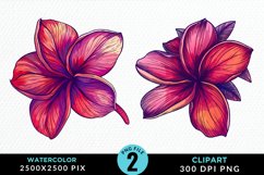 Watercolor Plumeria Flower Exquisite Clipart Product Image 1