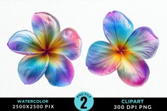 Watercolor Plumeria Flower Exquisite Clipart Product Image 1