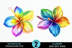 Watercolor Plumeria Flower Exquisite Clipart Product Image 1