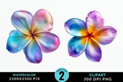 Watercolor Plumeria Flower Artwork Clipart Product Image 1