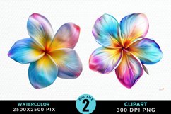 Watercolor Plumeria Flower Exquisite Clipart Product Image 1