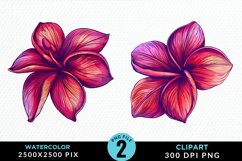 Watercolor Plumeria Flower Exquisite Clipart Product Image 1