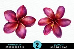Watercolor Plumeria Flower Exquisite Clipart Product Image 1