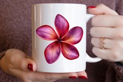 Watercolor Plumeria Flower Clipart Bundle Product Image 7