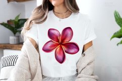 Watercolor Plumeria Flower Clipart Bundle Product Image 3