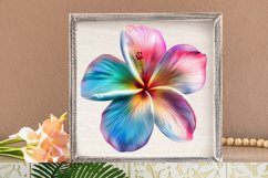 Watercolor Plumeria Flower Clipart Bundle Product Image 2