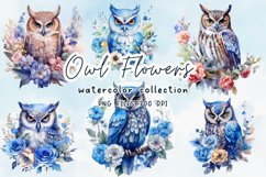 Owl watercolor clip art Product Image 1